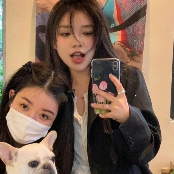 我的哈士奇男友