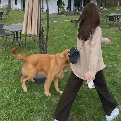 奥莉维娅